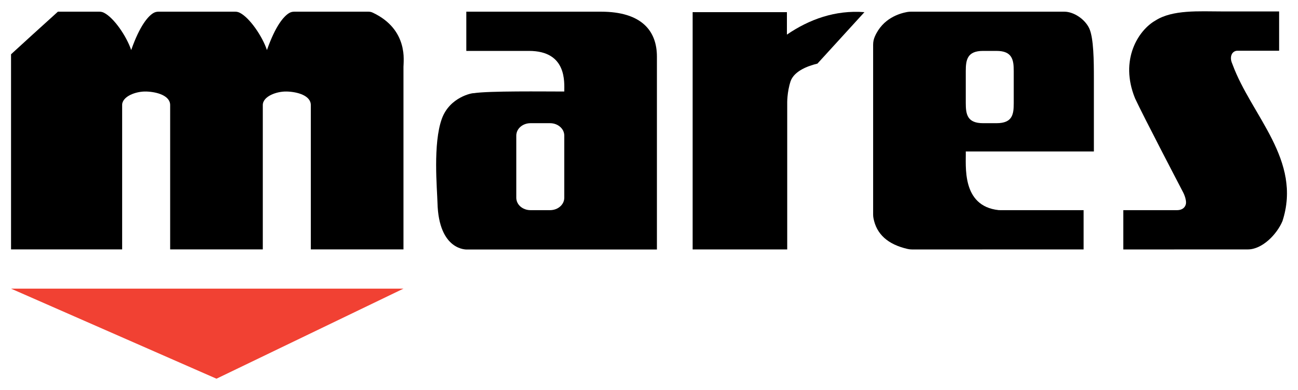 Mares Technician